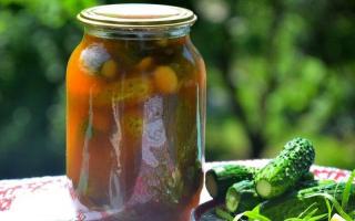 Хрустящие маринованные огурцы в банках: простые и вкусные рецепты на зиму для всех