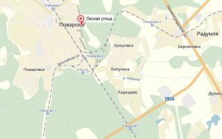 В солнечногорском районе рубят лес под гигантский 